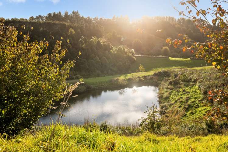 16 Huria Vista Pyes Pa_36