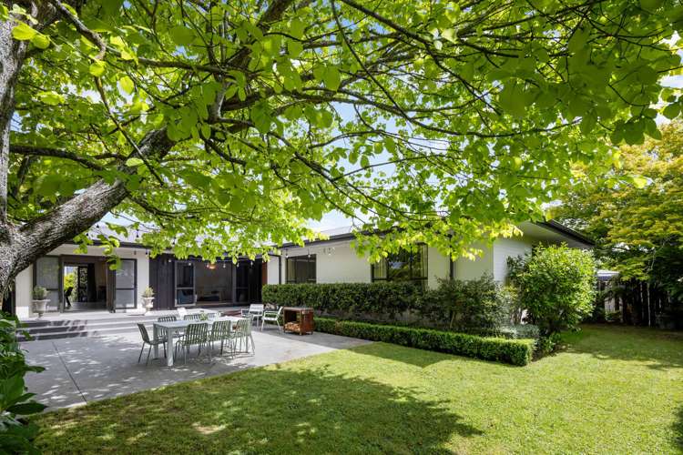 8 Bailey Avenue Claudelands_10