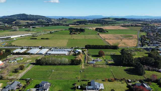 151 Domain Road Papamoa Beach_1