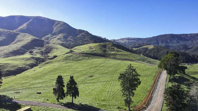 Lot 5, 151 Hill Road Te Aroha_3