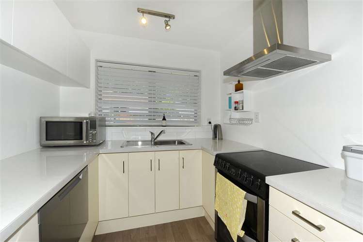 34 Browning Street Sydenham_5