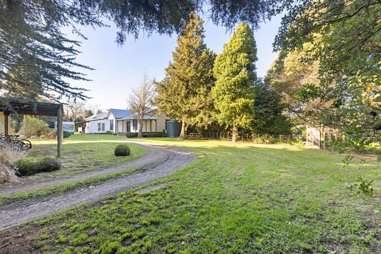 832 Makomako Road Pahiatua_32