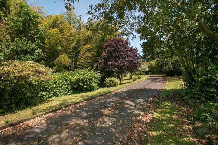 7192 State Highway 26 Paeroa_12