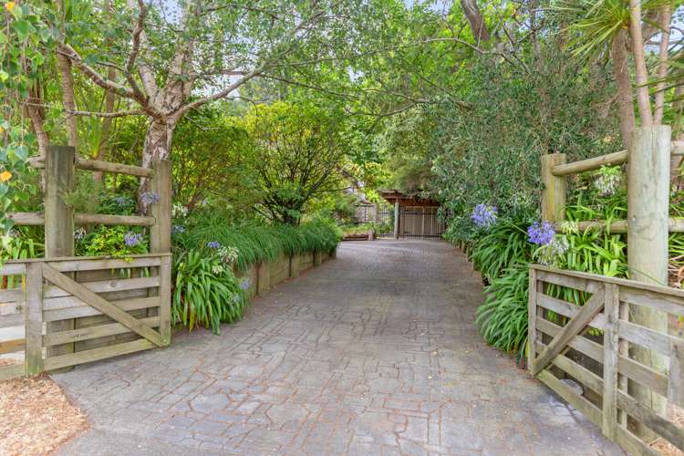 50 Whitaker Street Te Aroha_24