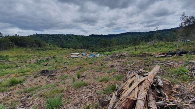 574 Honeymoon Valley Road Peria_4