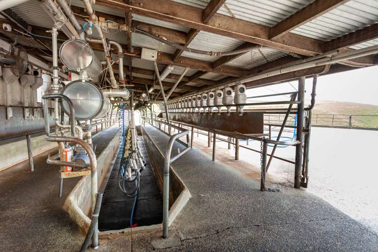 395 State Highway 5 Tapapa_5