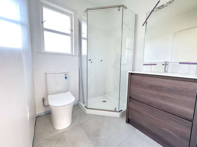 98 Ash Street Avondale_4