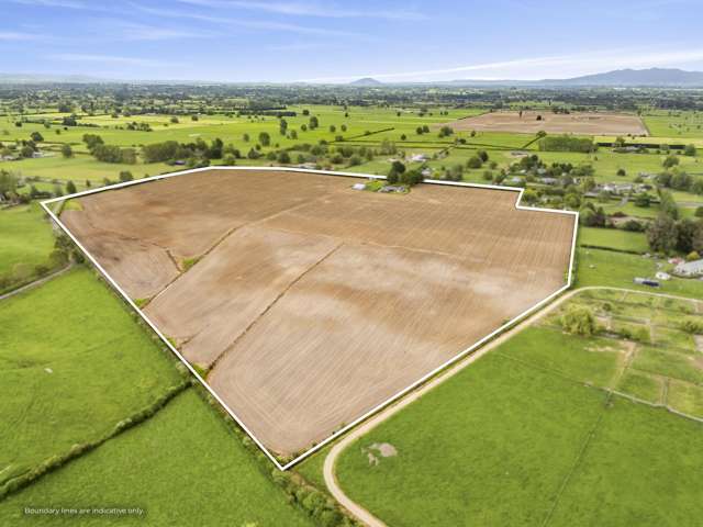 390 Marychurch Road Matangi_2