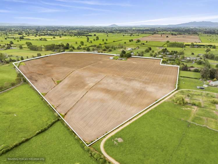 390 Marychurch Road Matangi_2