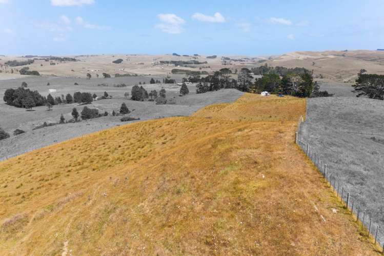 1149 Waikaretu Valley Road Waikaretu_8