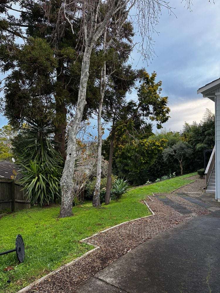 4a Redwood Drive Massey_13