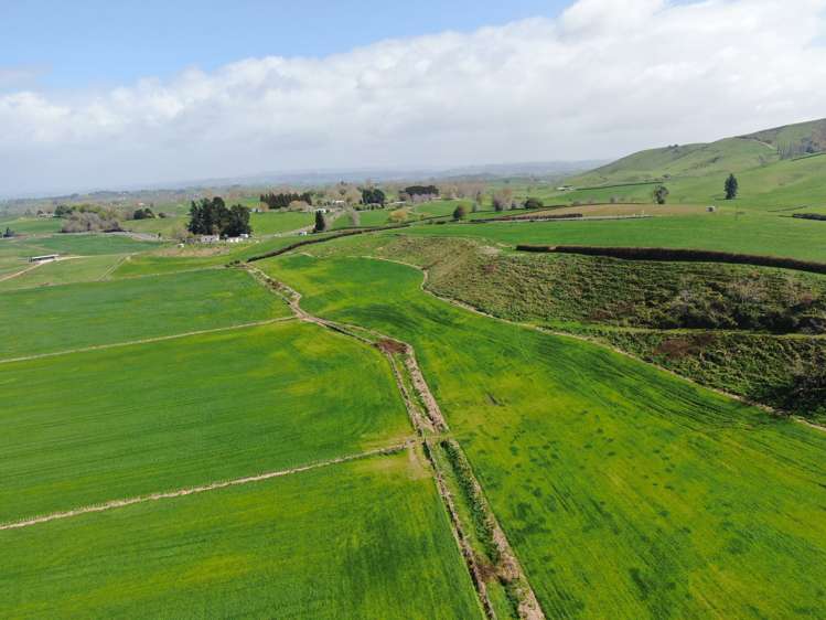 1375 State Highway 3 Otorohanga_23