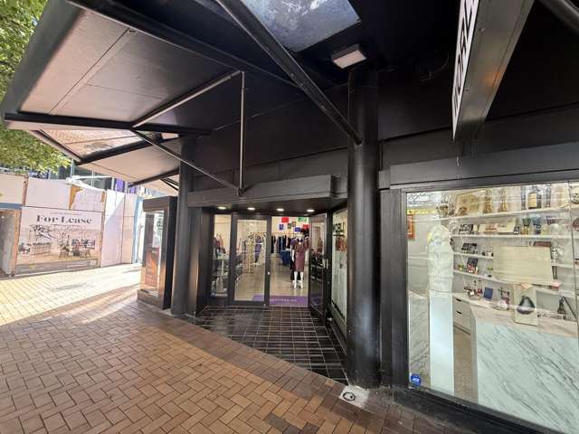 1/29 Manners Street Wellington Central_1