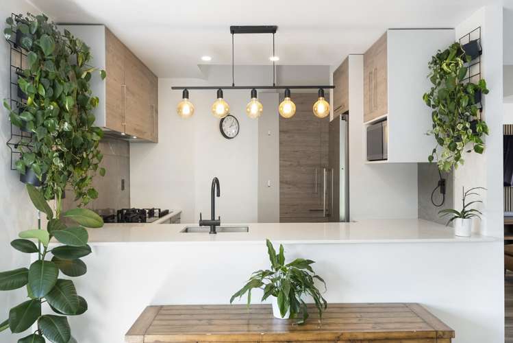 8/19 Langana Avenue Browns Bay_1