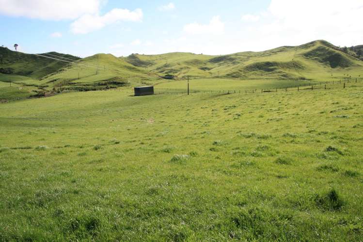 318 Kupara Road Tariki_23