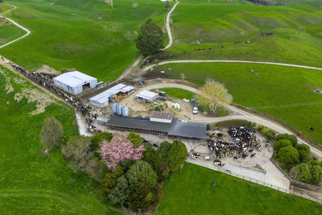 2085a-B Old Taupo Road Putaruru_4