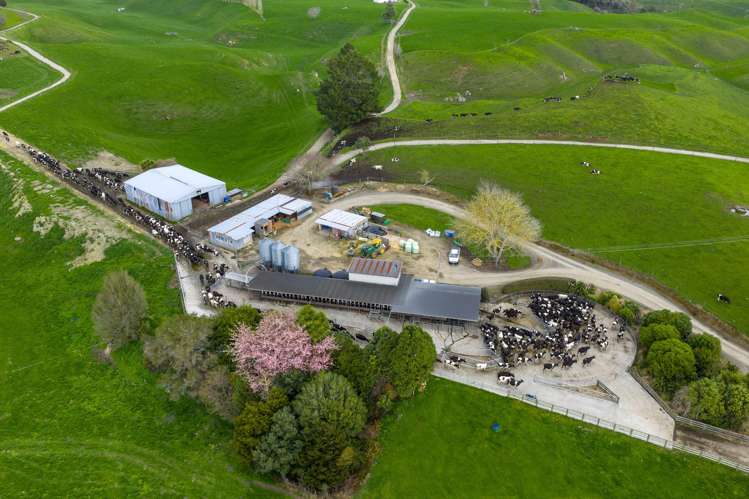 2085a-B Old Taupo Road Putaruru_4