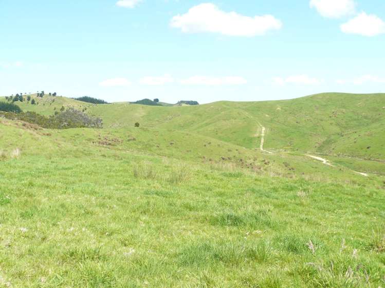 211 Parapara Road Taipa_19