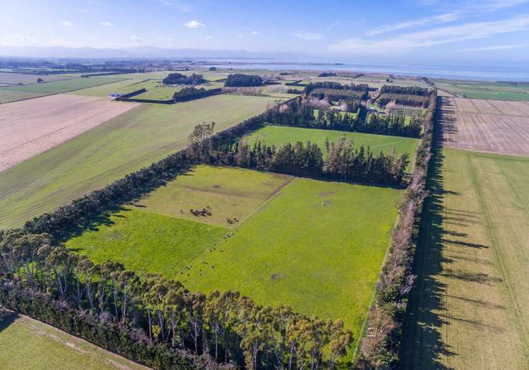 398 The Lake Road Leeston_19