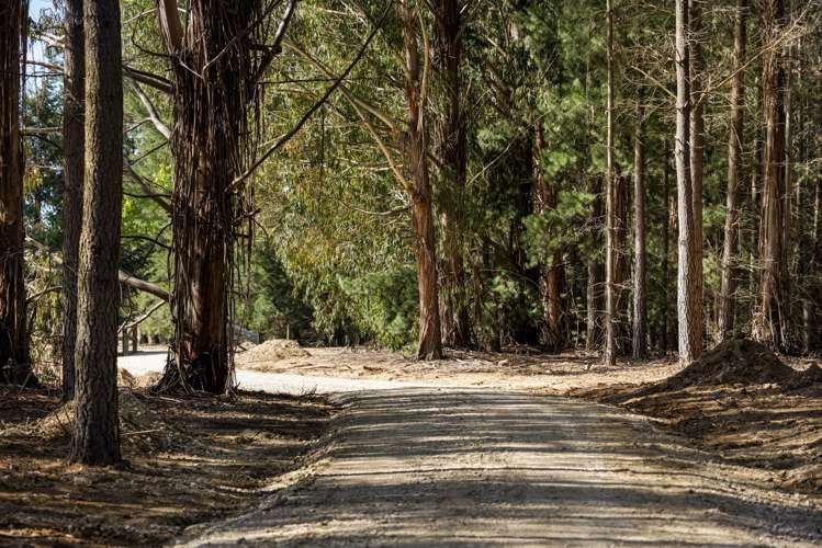 Lot 4/837 Lake Hawea-Albert Town Road Wanaka_13