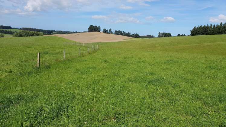 2000 Hillfoot Road Catlins Surrounds_13