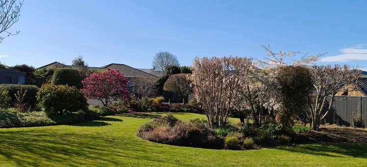 45 Howorth Road Fairfield_3