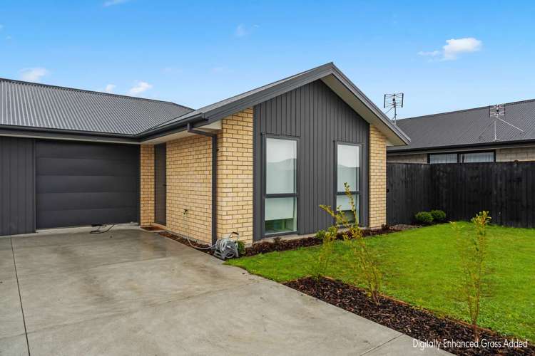 41 Waikirikiri Avenue Lincoln_20