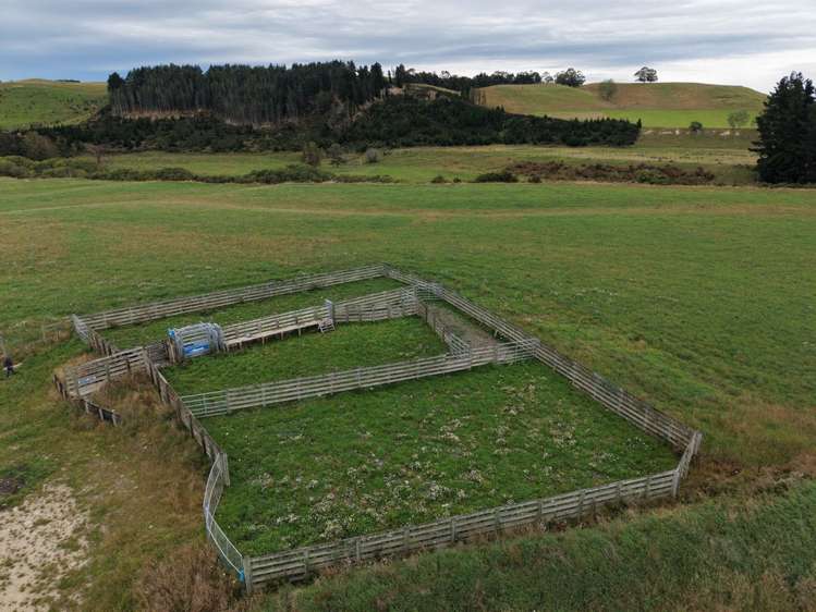 158 Kowhatu Road Waimate_3