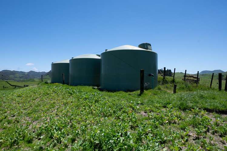 313 Te Wera Road Matawai_27