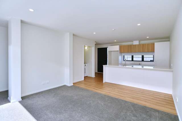 4/25 Evesham Crescent Spreydon_1