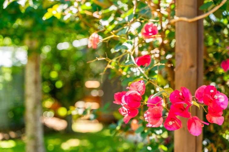 7b Halyard Way Mangawhai_34