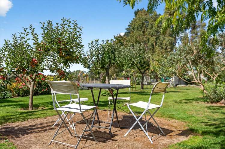 41 Oxford Street Martinborough_19