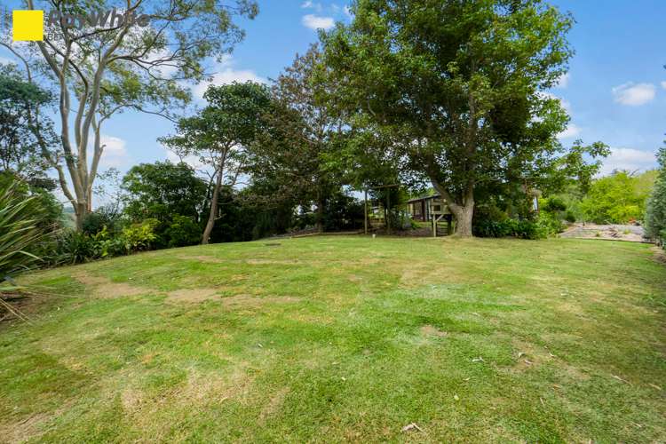 156 Ara-Kotinga Whitford_23