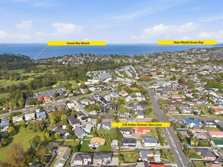 148 Astley Avenue New Lynn_21
