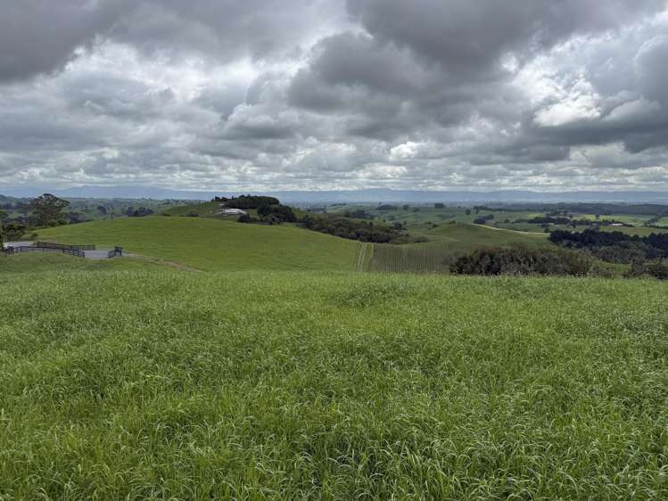 Taotaoroa Road Karapiro_5