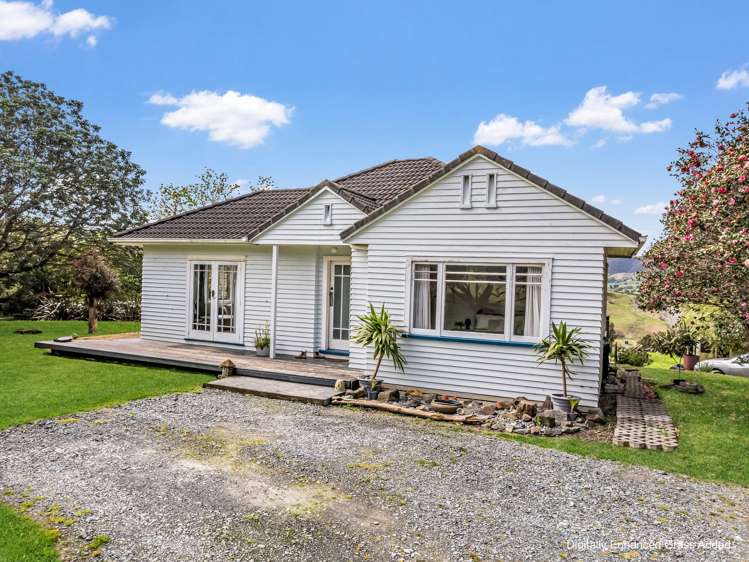 26 Puriri Glade_4