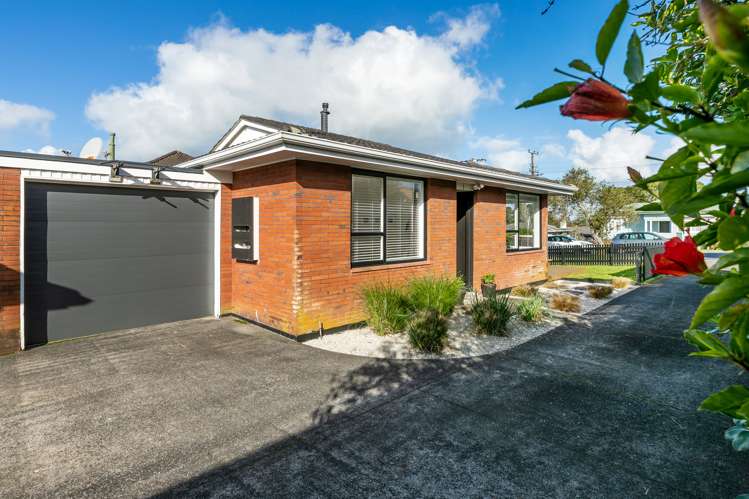 1/8 Akehurst Avenue New Lynn_13
