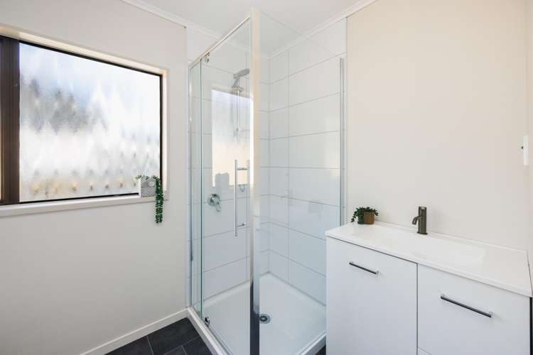 4 Ngarimu Street Roslyn_25