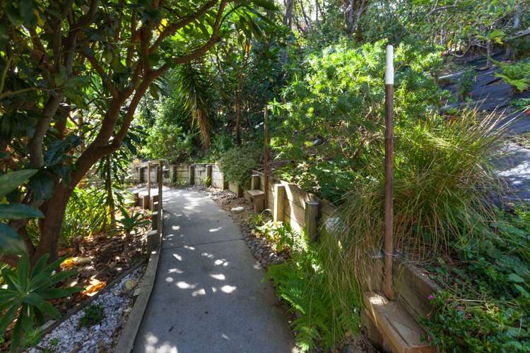 126 Oratia Place Onemana_25