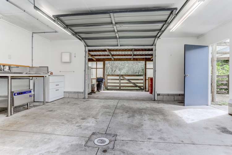 408 Kaiwhaiki Road Kaiwhaiki_35