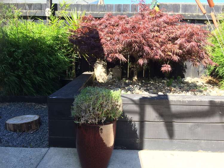 2/602 Te Rahu Road Te Awamutu_7