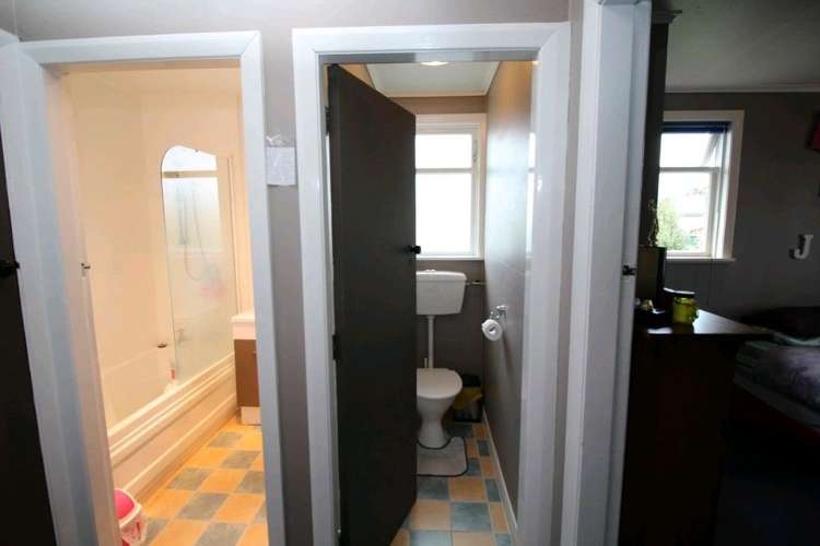 20 Ward Street Bulls_48