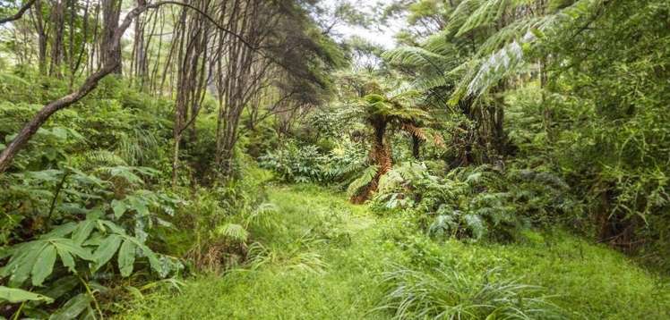 584 Matakana Valley Road Matakana_14