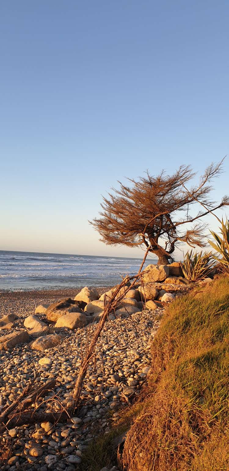 4 Main Road Owaka_10