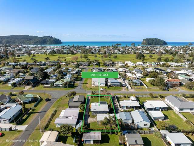 203 Tui Road Whangamata_1