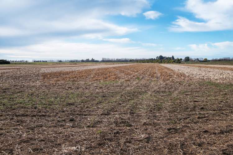 7 Bradshaws Road Waimate_6