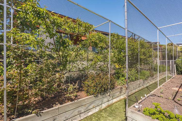 8 Omeo Crescent Redcliffs_48
