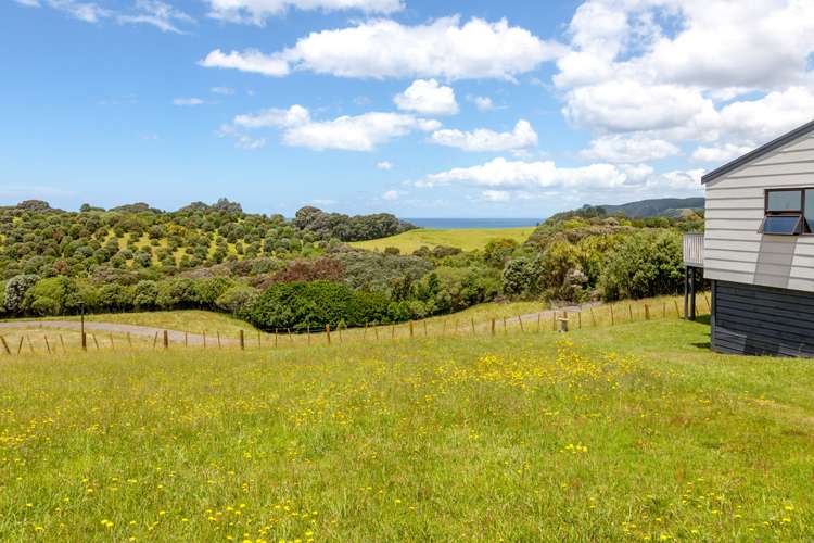 443 Onemana Drive Onemana_17