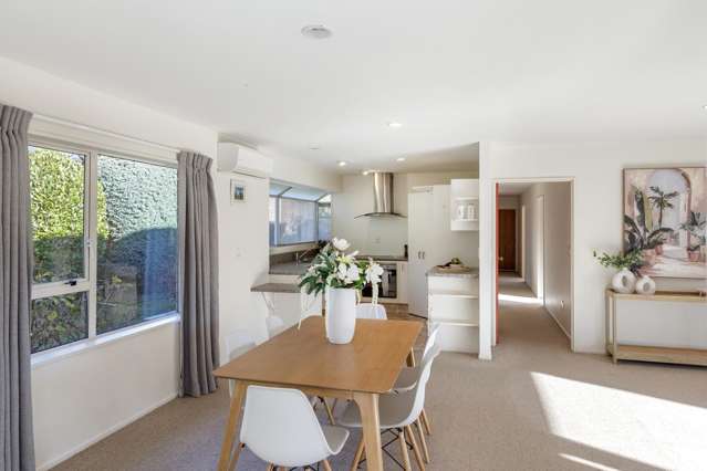 23 Basil Place Mt Pleasant_4