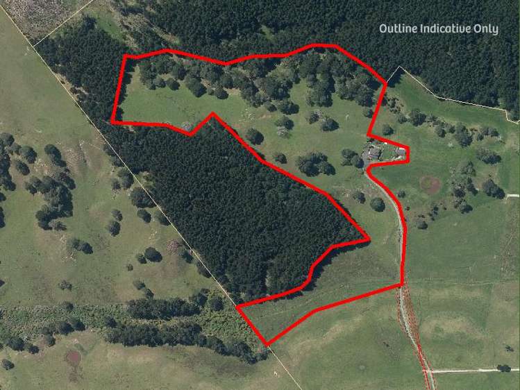 320 Babylon Coast Road Parore_32